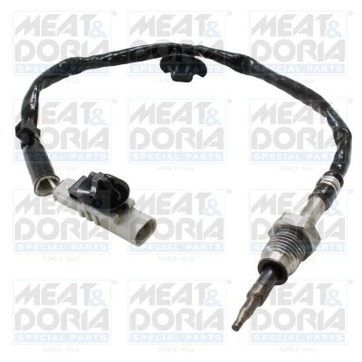 Sensor, exhaust gas temperature